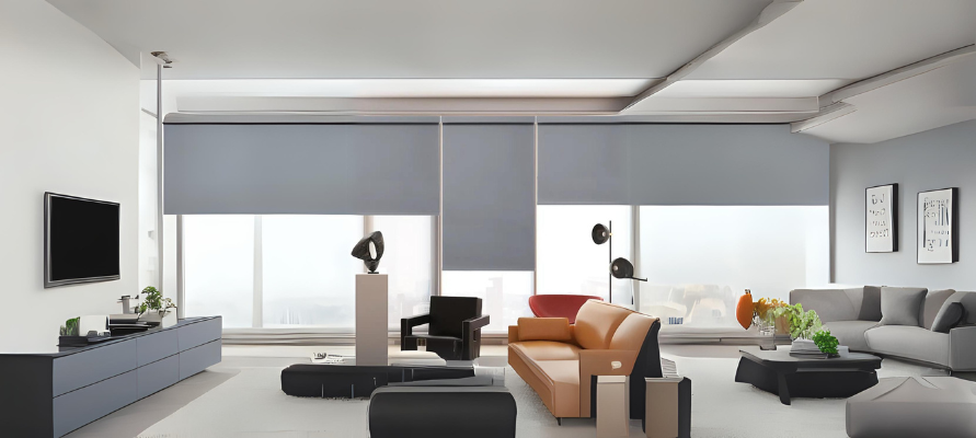 Roller Shades in Living Room