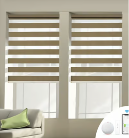 2 zebra blinds